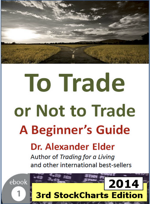 To Trade or Not to Trade: A Beginner’s Guide 3rd Expanded Edition (eBook)